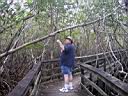 Bill and the mangroves.JPG